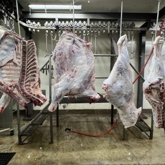 WHOLE COW: 7 SHARES: QUARTERS/4 PIECES ONLY