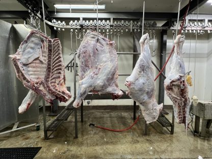 WHOLE COW: 7 SHARES: QUARTERS/4 PIECES ONLY