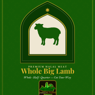 Whole Big Lamb