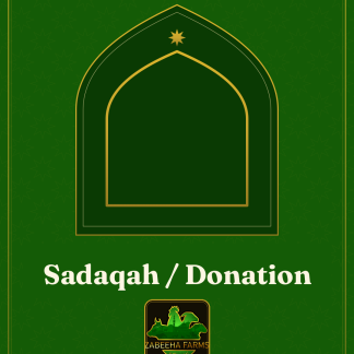 Sadaqah / Donation